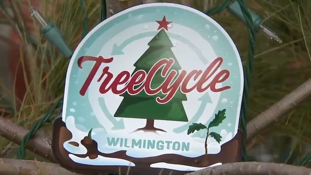Ways to Recycle Your Christmas Tree in Philadelphia and Beyond