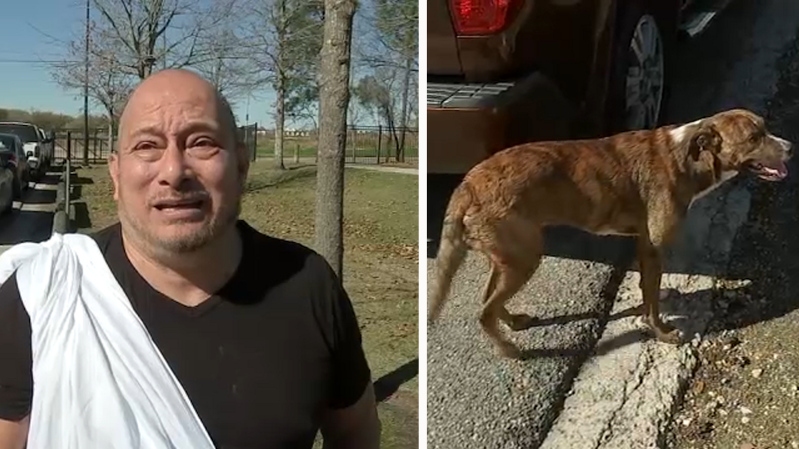 Alfred Gomez was rescued out of rushing water after trying to save his