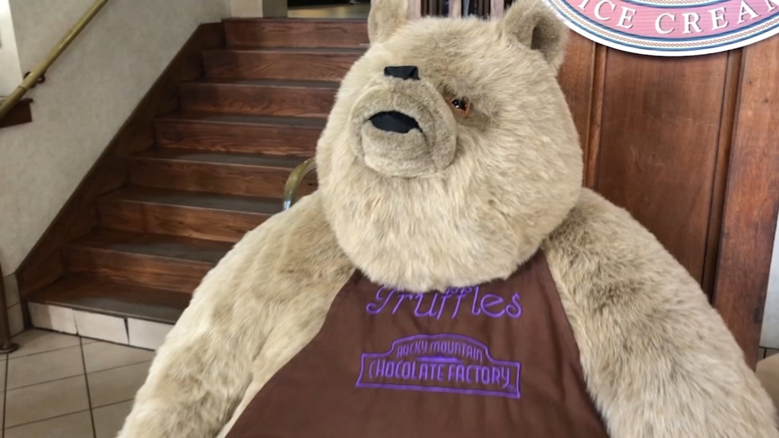 Galveston Strand business owner says city won't let him put teddy bear