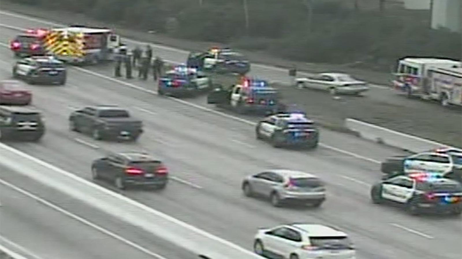 Man walking on Gulf Fwy dies after police try to detain him - ABC13 Houston