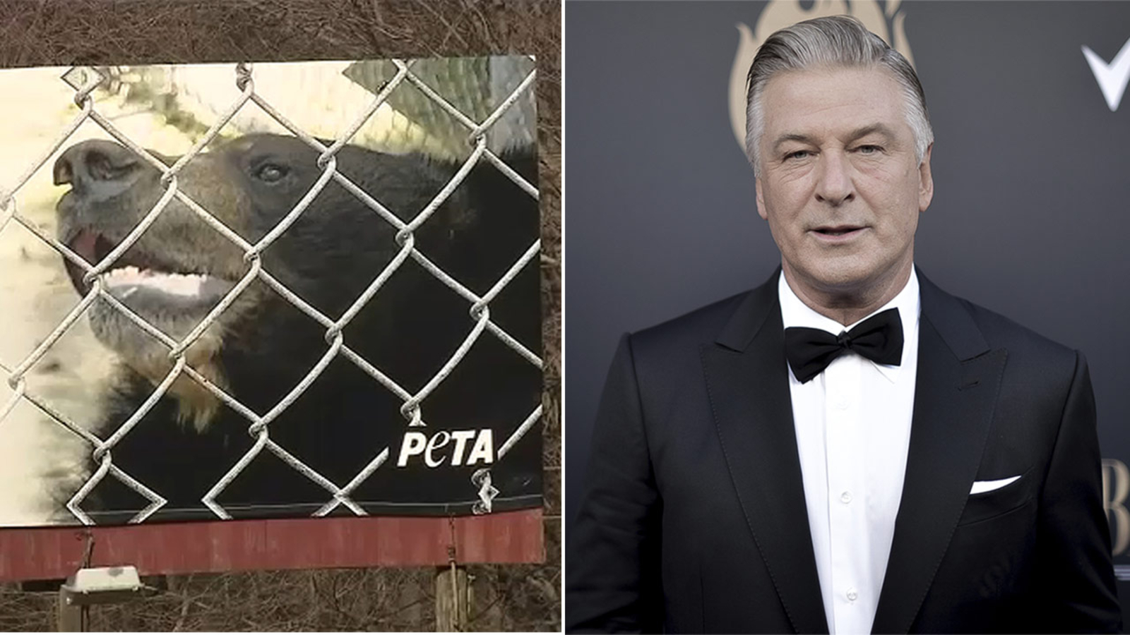 PETA, Alec Baldwin want Dillan the Bear moved from Pennsylvania