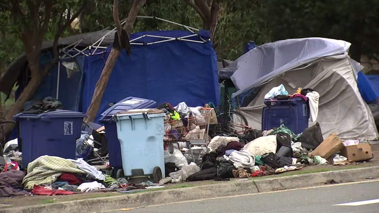 Berkeley City Council votes to move forward with plan for temporary