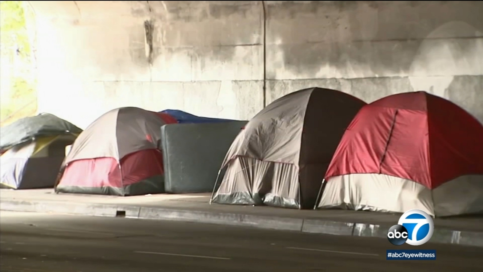 2020 Greater Los Angeles Homeless Count: Volunteers hit the streets of ...
