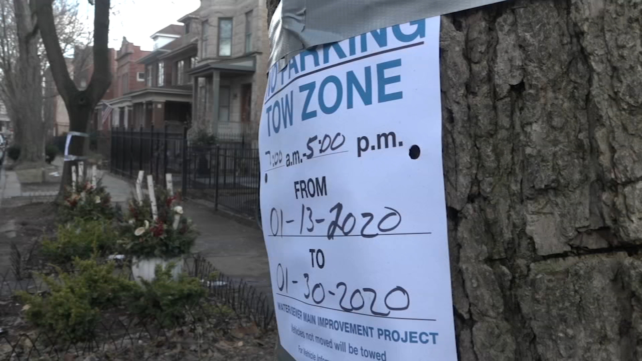 Chicago Water Dept. tests tree-saving technology in Andersonville