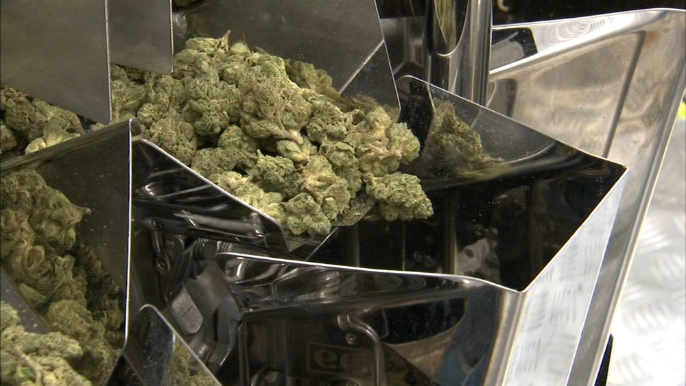 Illinois medical marijuana applications spike following recreational legalization