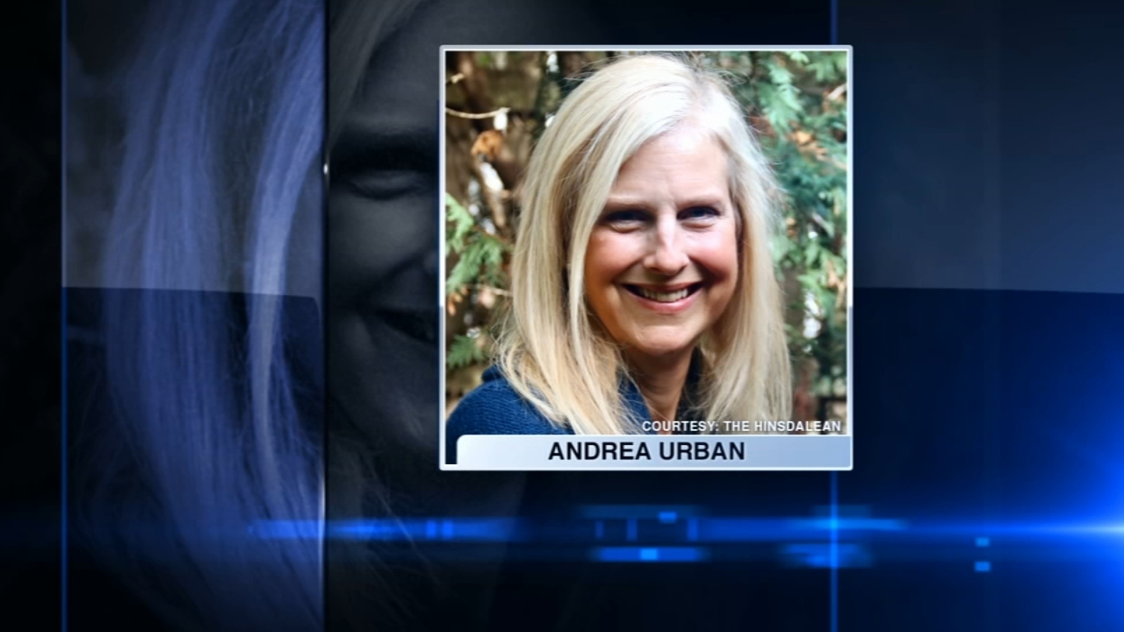 Hinsdale murder: Dominc Sanders to be sentenced in stabbing of Andrea ...