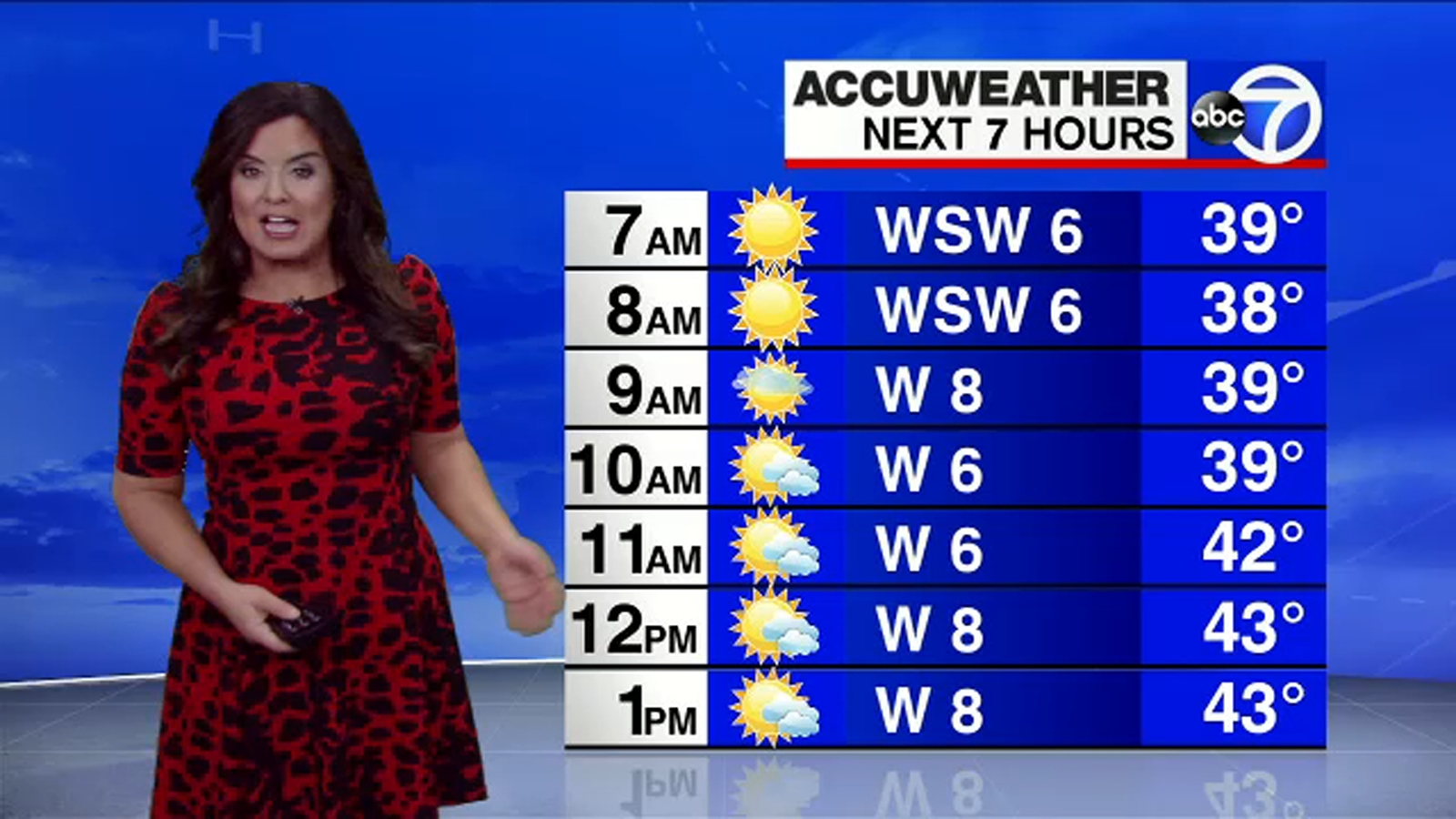 Accuweather forecast for the tristate area ABC7 New York