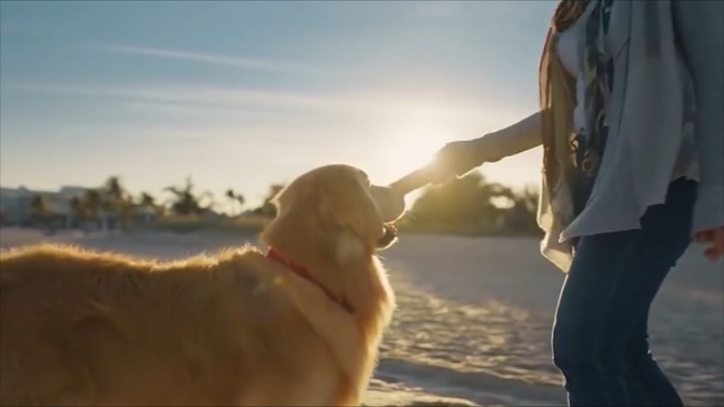 Best Super Bowl Commercials Of 2020 Made Us Laugh Cry And Think Abc11 Raleigh Durham