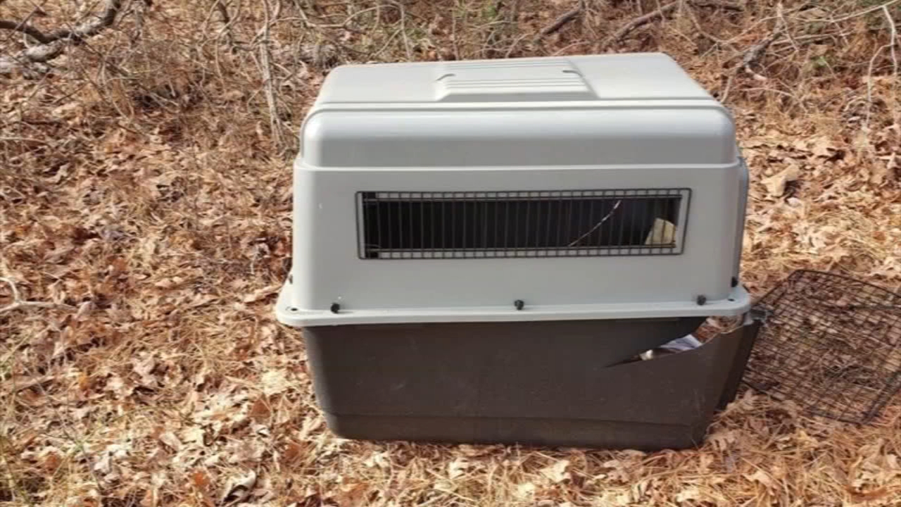 Millville Police investigating after dead dog found in crate on side of road
