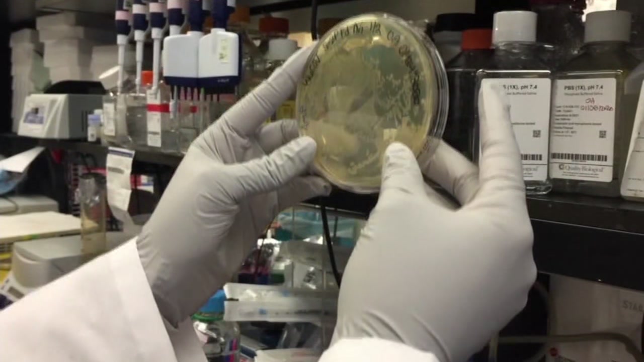 Health specialists calm fears about Coronavirus