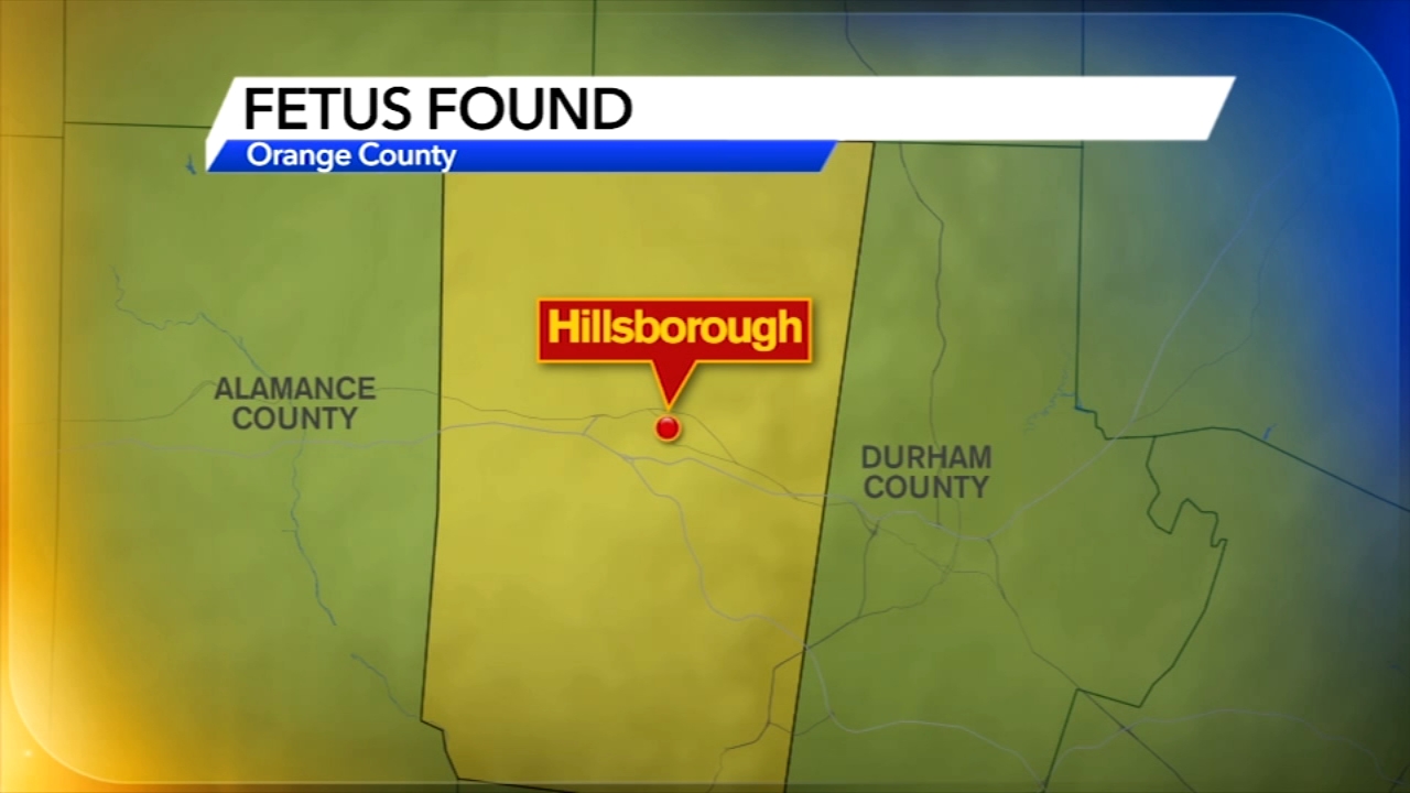 Fetus found at Hillsborough sewer pump station, police search for mother