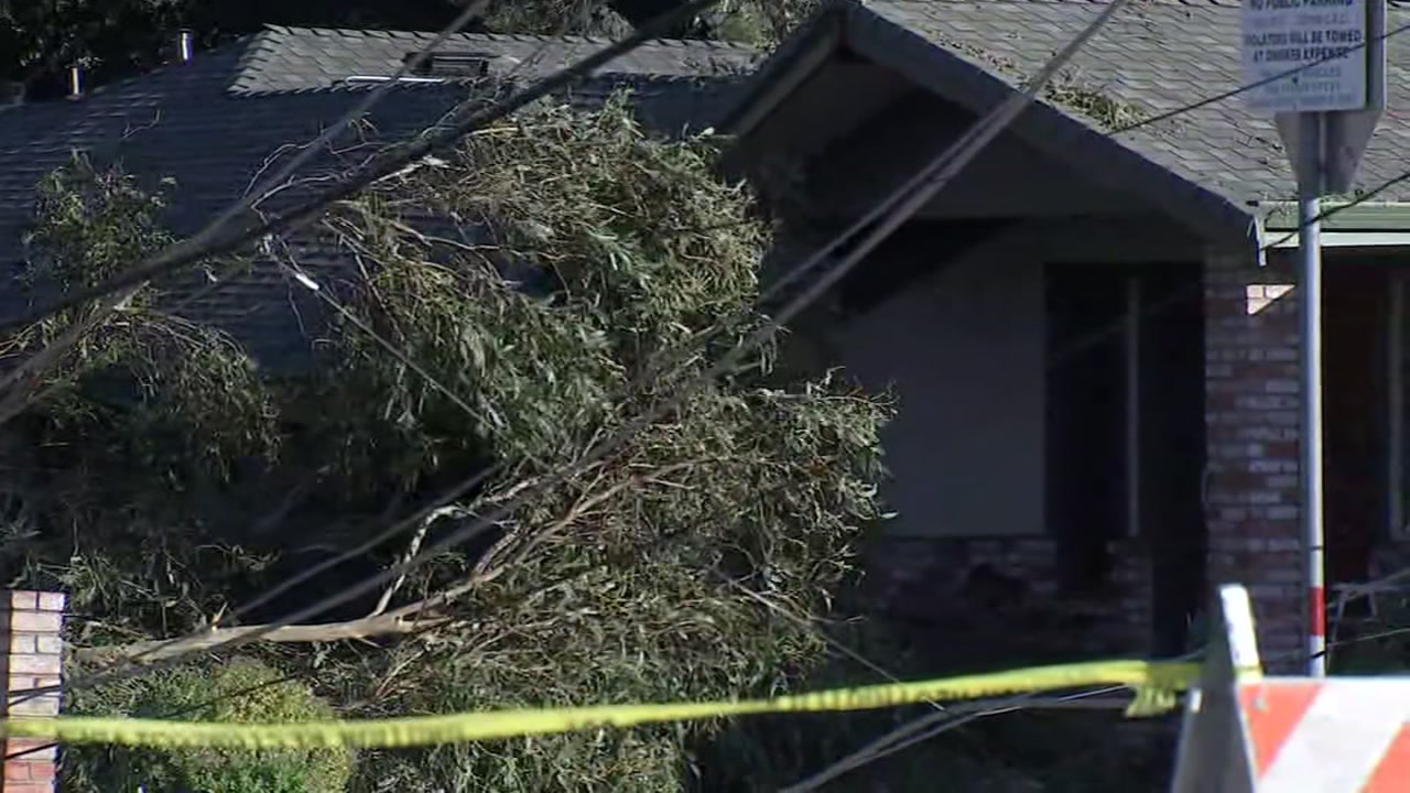 Alameda County Fire reports 20-call backlog, nearly 300 calls during high wind event