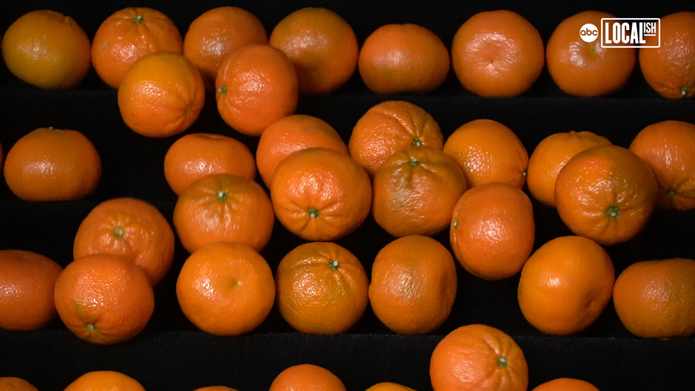 See How Your Citrus Gets Harvested