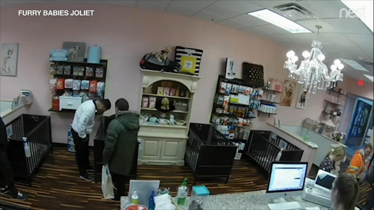 Joliet puppy theft caught on camera