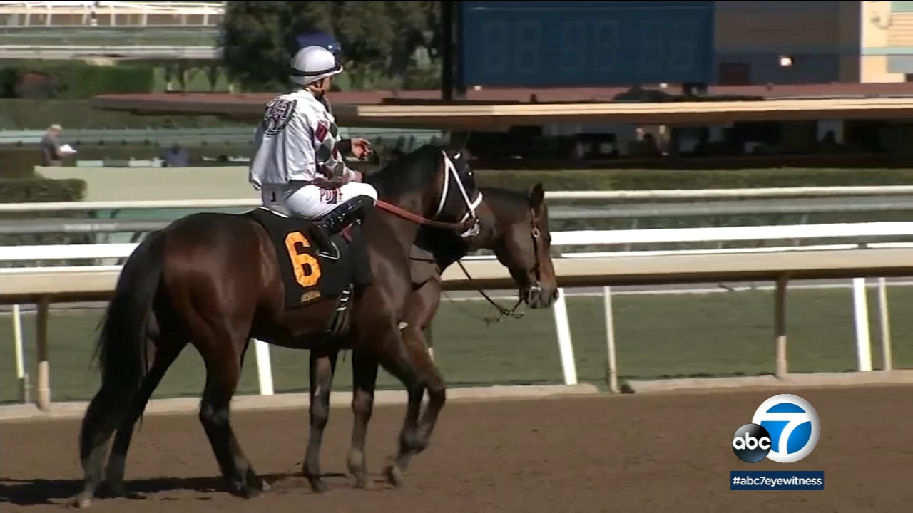 43rd horse dies at Santa Anita Park since December 2018