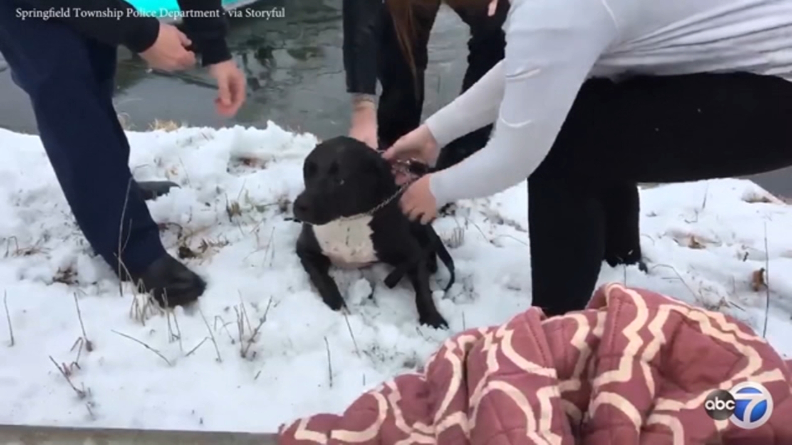 Dog rescued by Ohio police, kayaker after falling into icy pond VIDEO