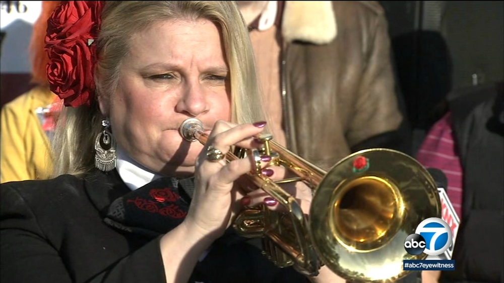 Musicians protest state's new freelancer law