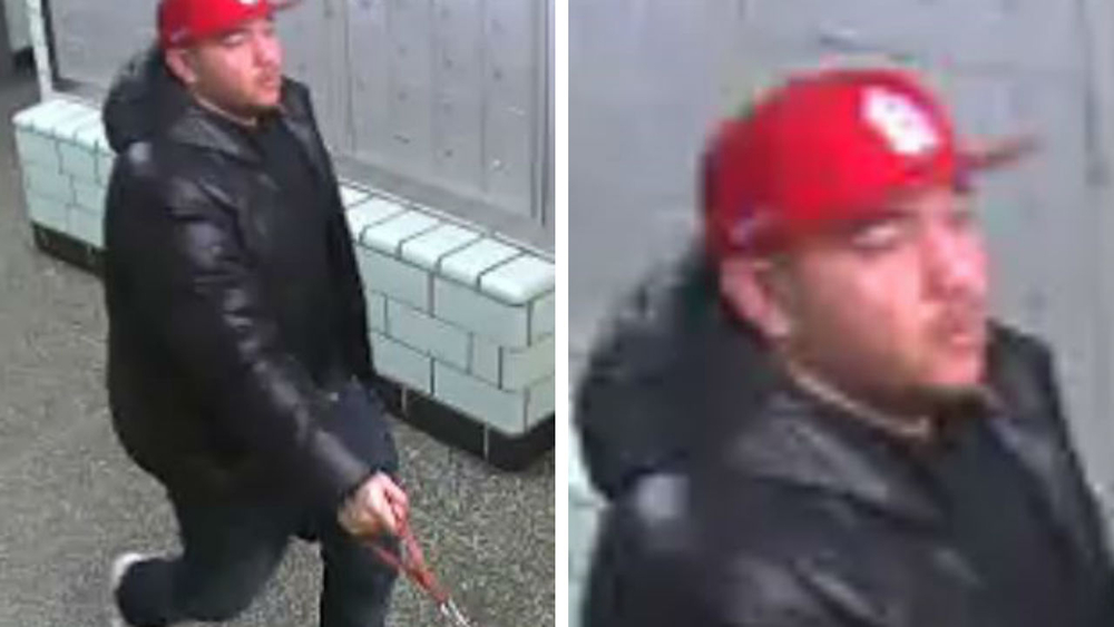 79-year-old woman robbed by man walking dog in Bronx