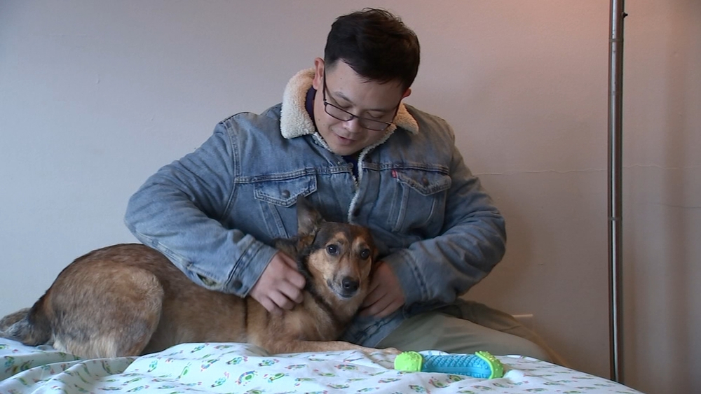 Pets for Vets gives veterans, homeless dogs a second chance