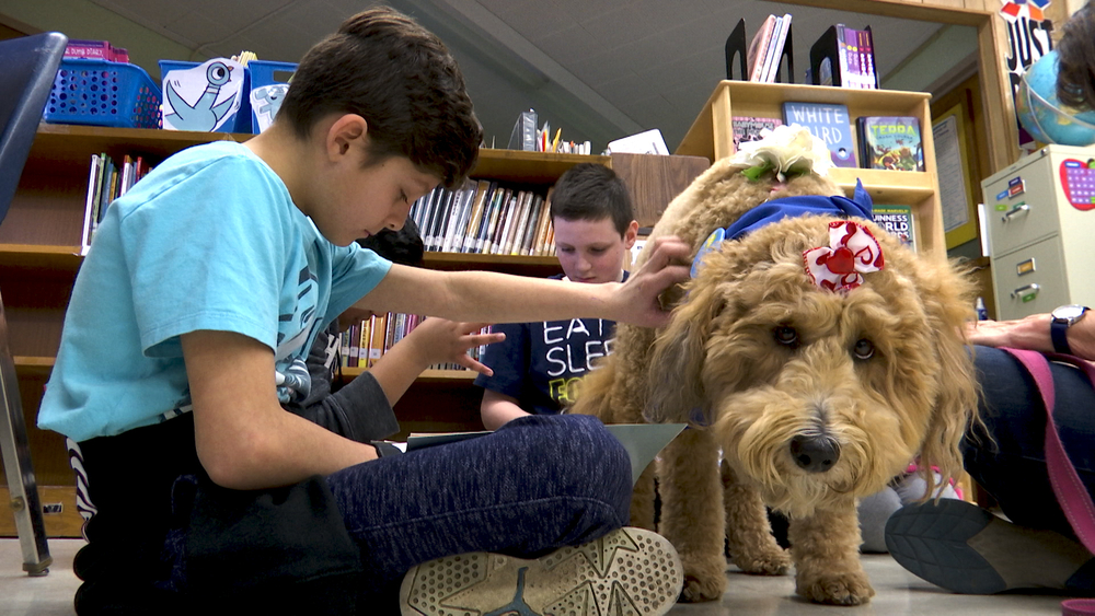 Non-profit helps kids gain confidence by reading to dogs