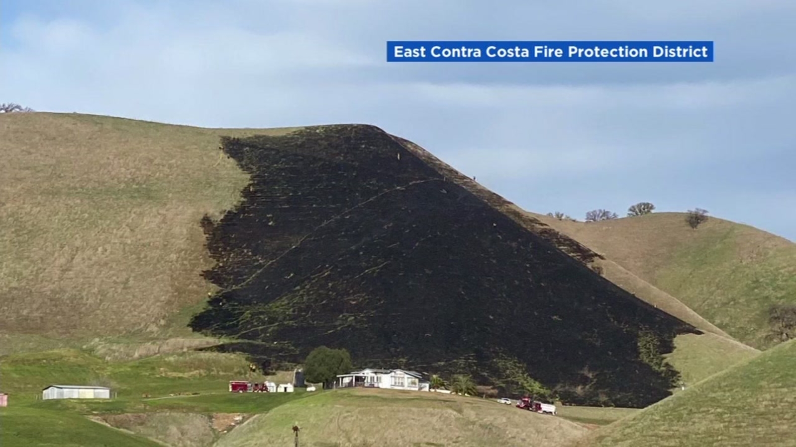 East Bay homeowner using 'gopher bomb' sparks small grass fire near
