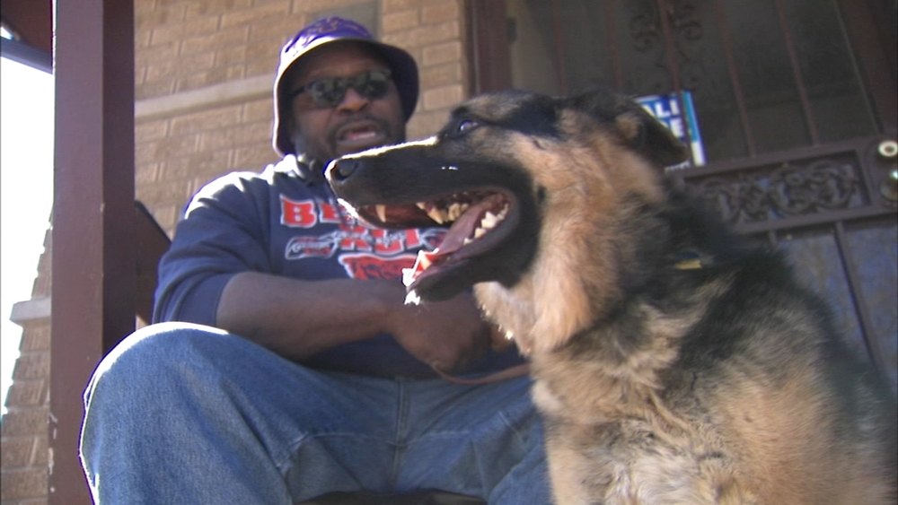 Lucca, a stolen guide dog, returned to blind Harvey man