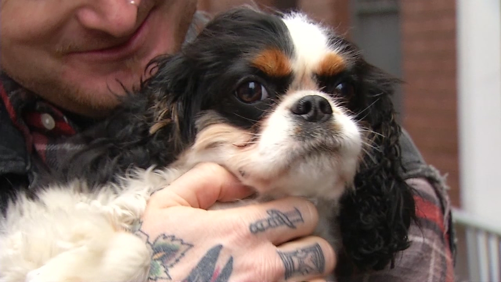 Man pays $1000 to get dog back after smash and grab in SF