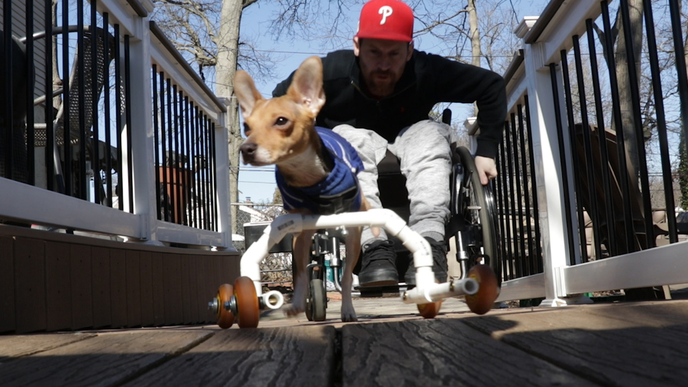 Wheelchair man and wheelchair puppy are the perfect match