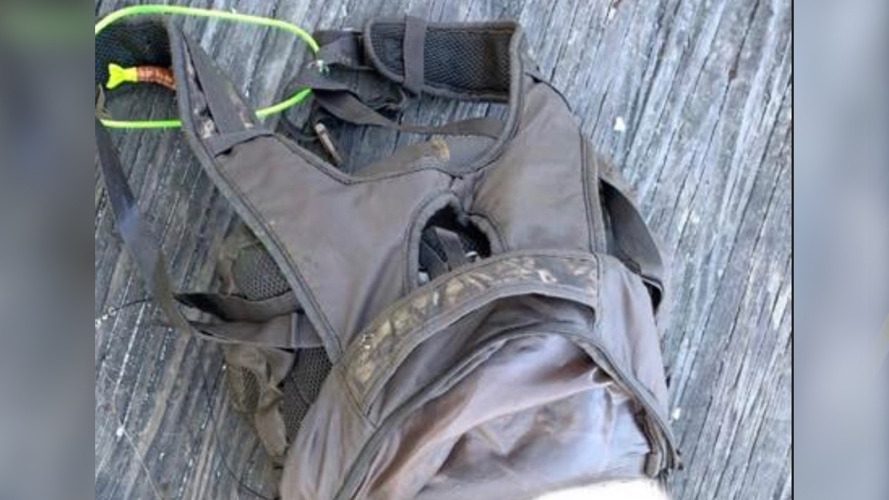 Dog found in backpack weighed down by dumbbells