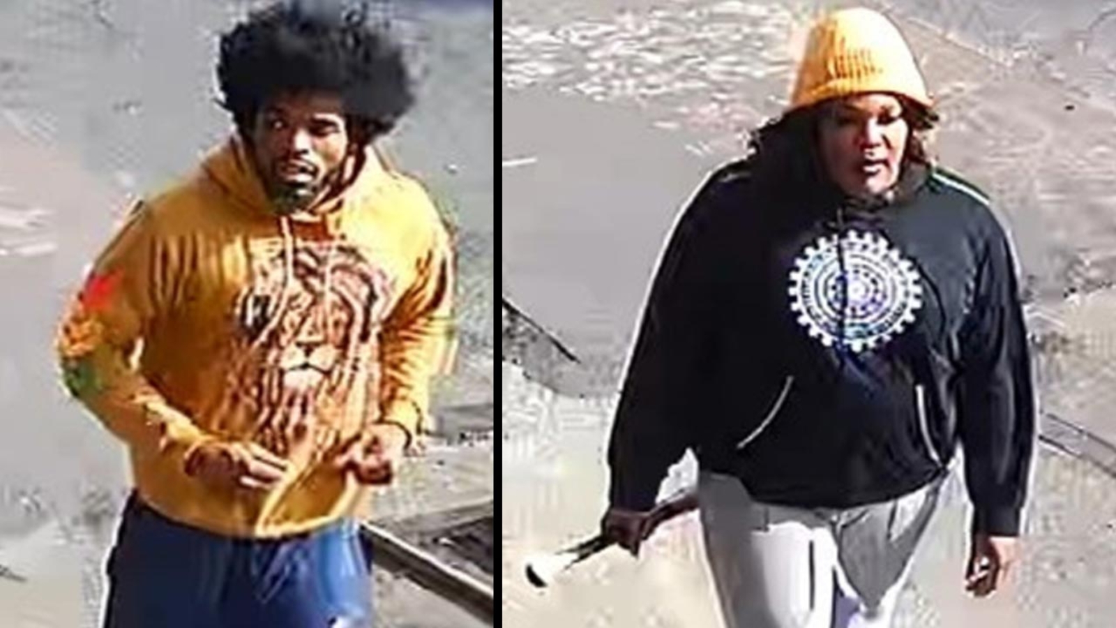 Police searching for suspects involved in baseball bat assault in