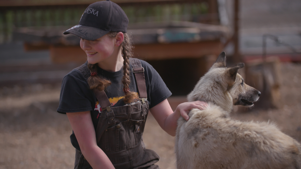What does it take to become a dog mushing champion? 