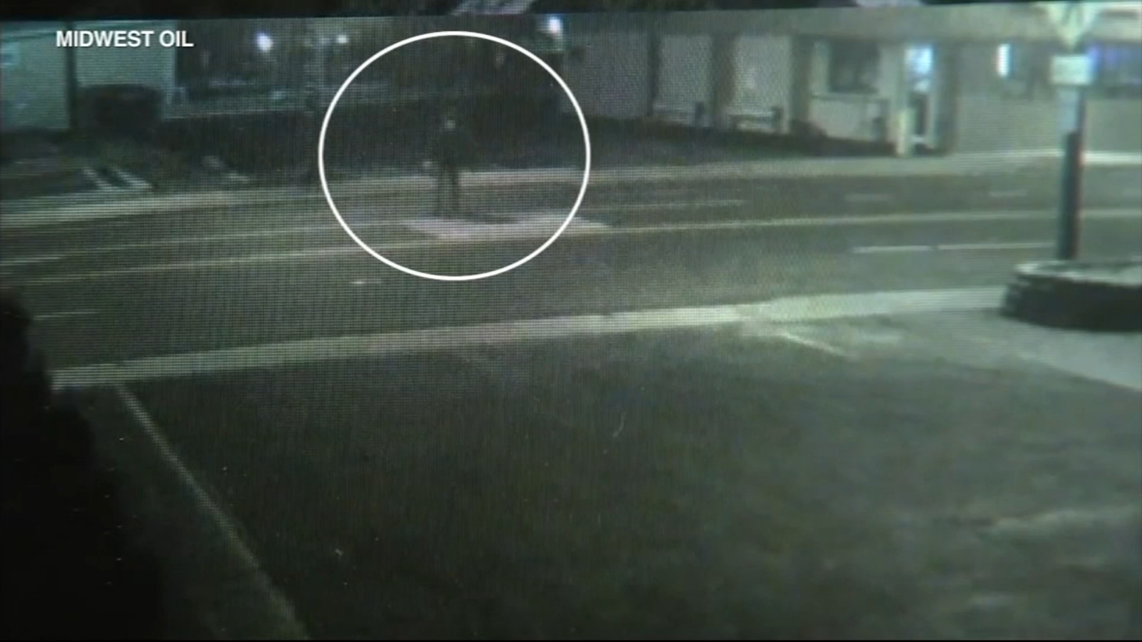 Schiller Park woman Regina Sariol killed in hitandrun; Police identify Medinah man as driver