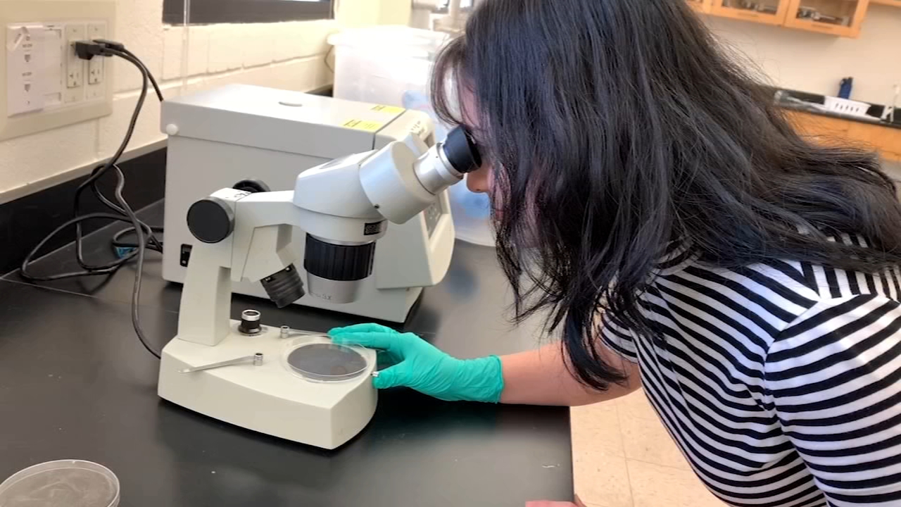 Fresno Pacific University adds Bachelors of Science in Nursing