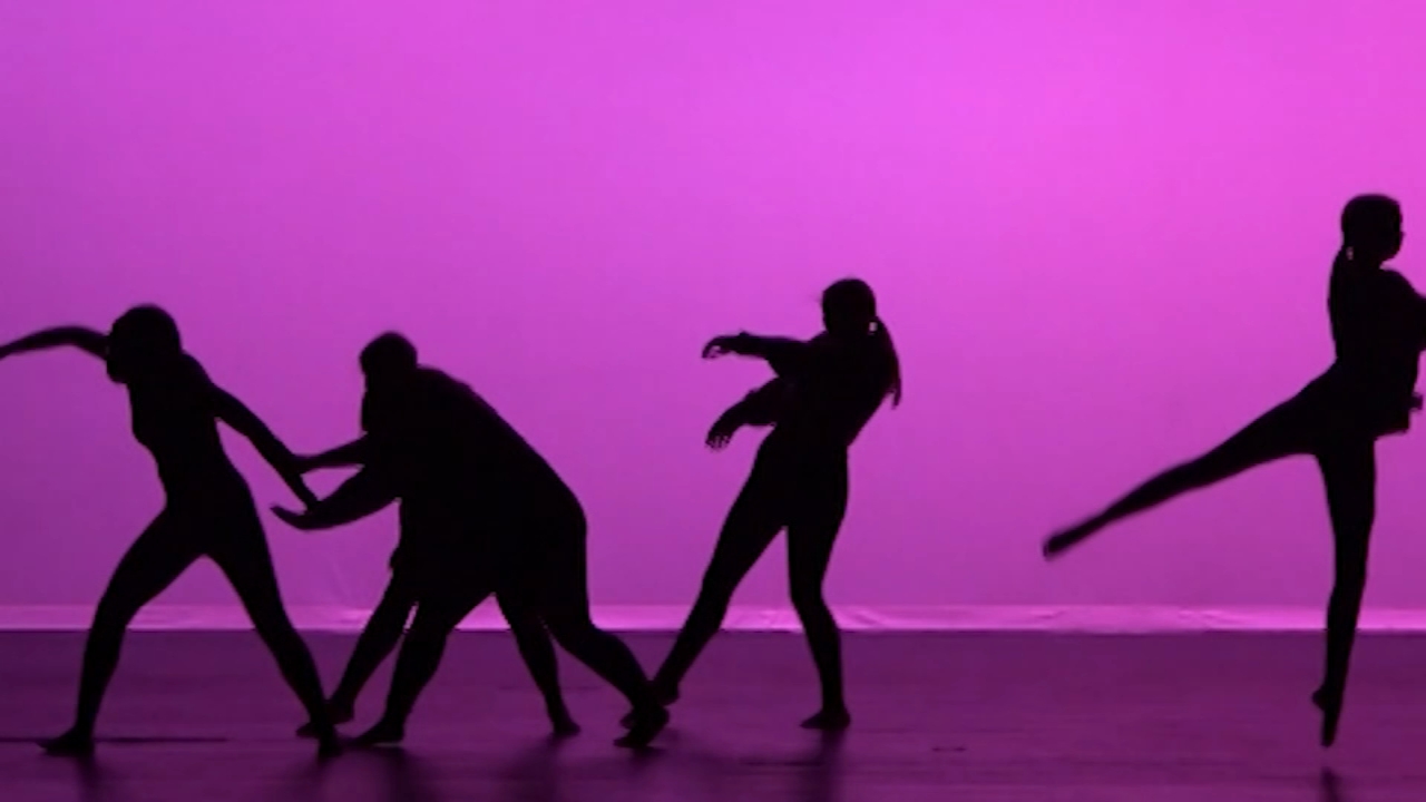 Dance, other electives being cut at Wake Co. high school