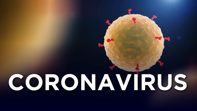 coronavirus: what we know about covid-19