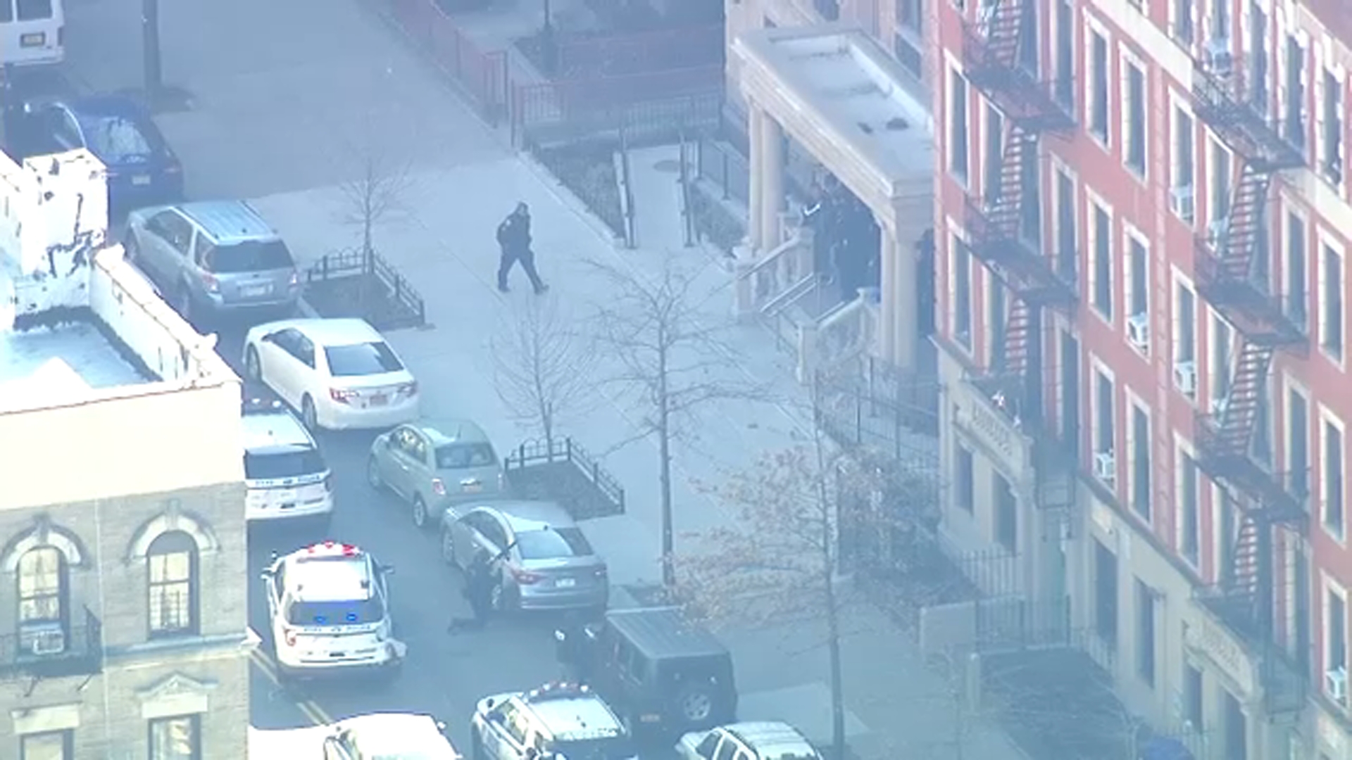 man with a van manhattan