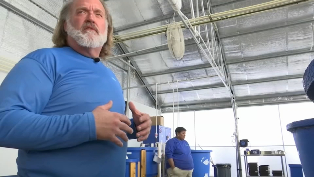 Delaware farmer uses fish to grow plants