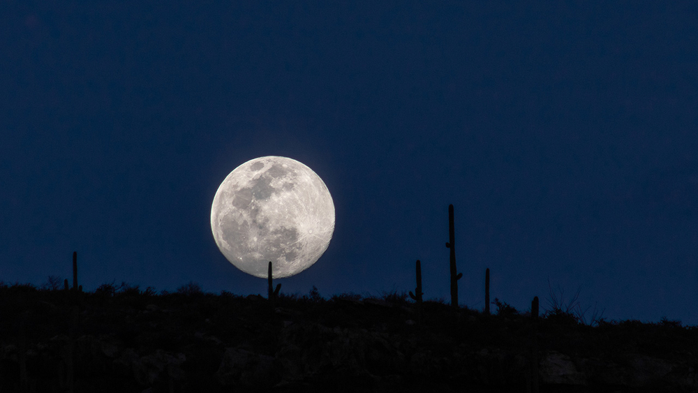 Top astronomy events for March 2020