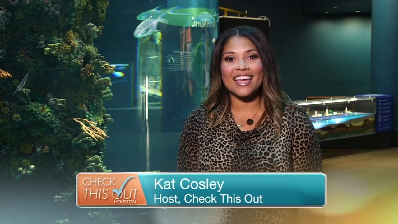 Check This Out: Moody Gardens
