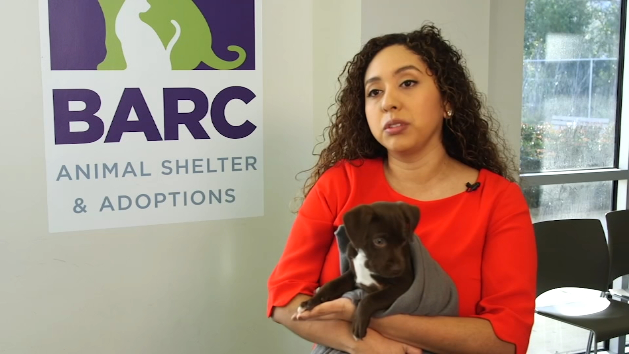 Check This Out: BARC