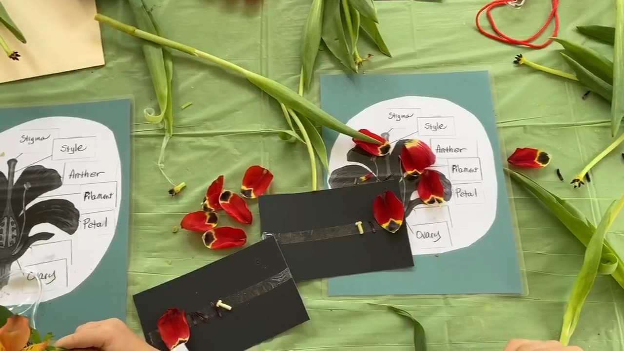 Clovis Botanical Garden helps kids learn more about flowers