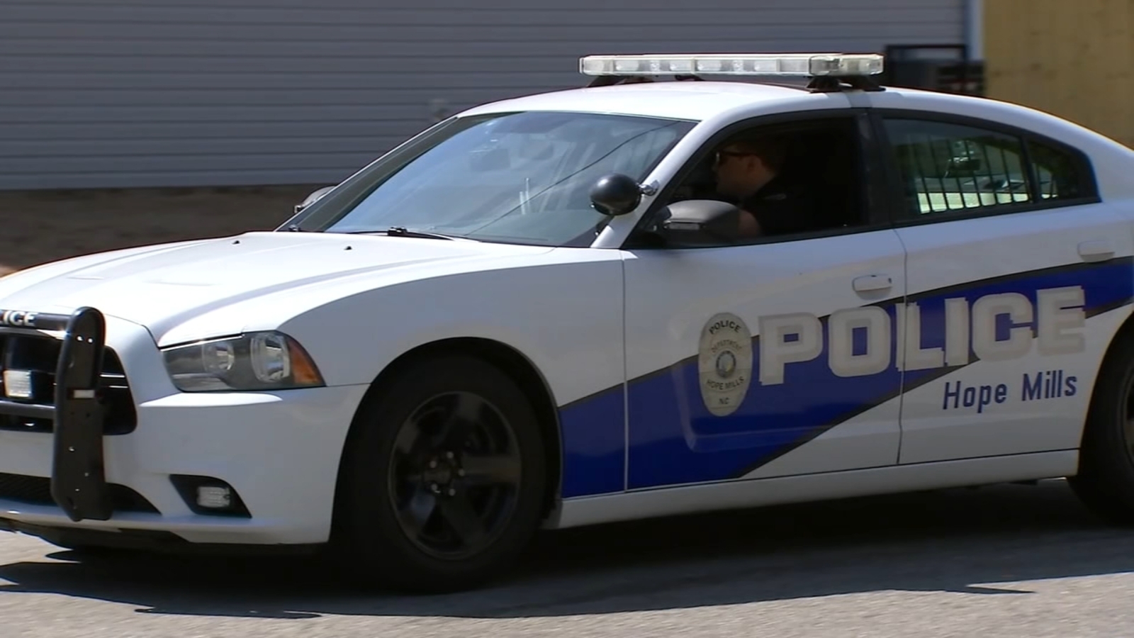 Hope Mills woman Brenda Davis walking dog injured in hitandrun crash