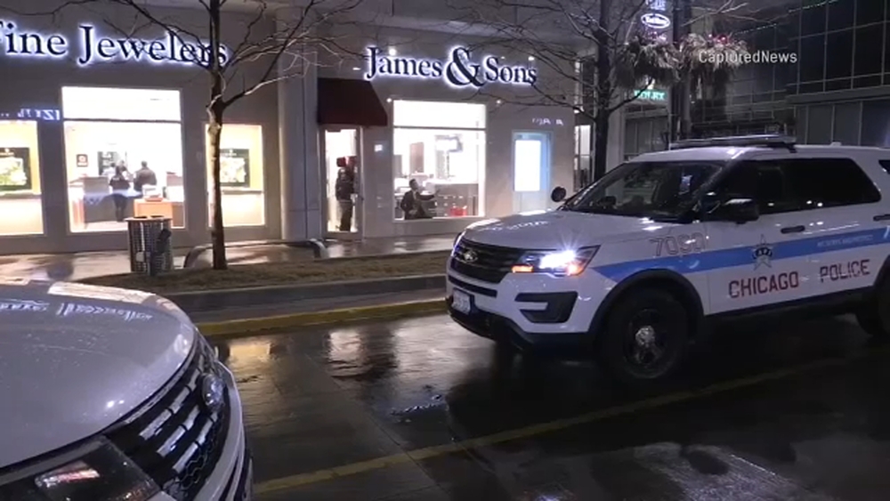 Burglars cut through drywall to steal from Goose Island jewelry store, police say