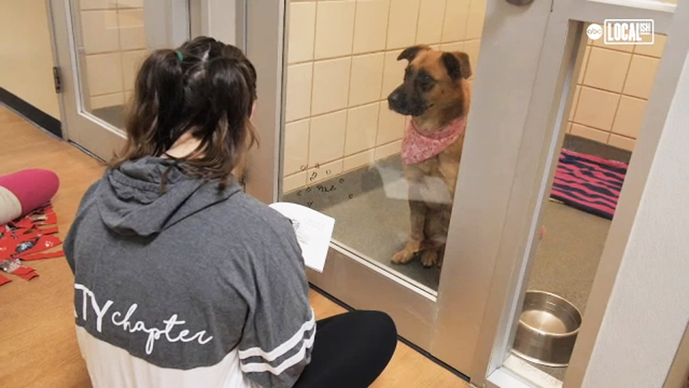 It's storytime! Kids read books to animals at this Houston shelter
