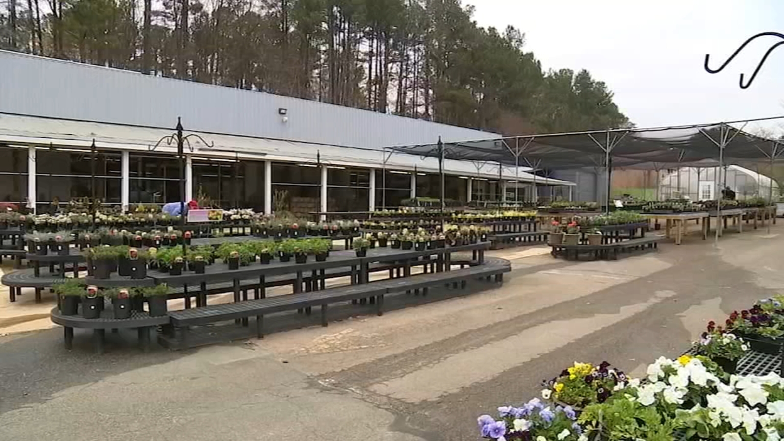 Coronavirus NC Business booming at garden centers as people search for ways to practice social