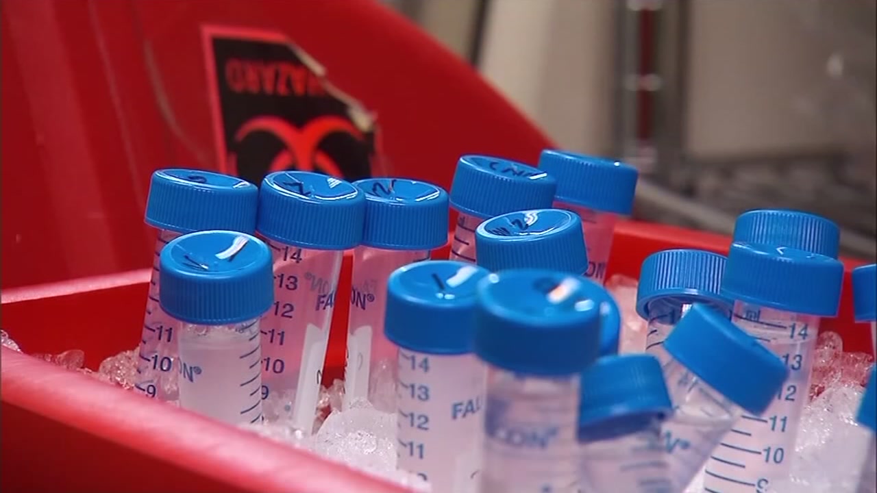 UCSF researchers race to find treatment for COVID-19
