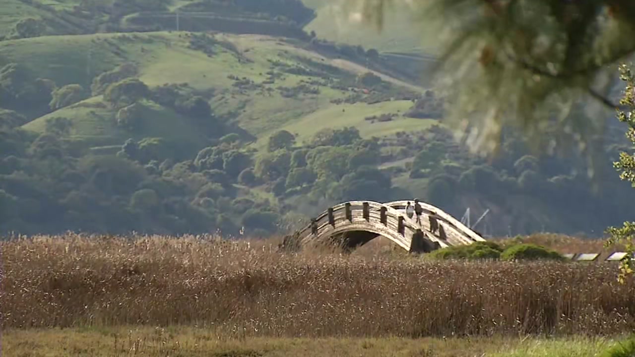 Video: Look at week 2 of the Bay Area's shelter-in-place
