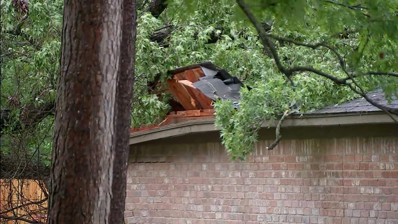 Highwinds toppled a tree on a house in Cypress
