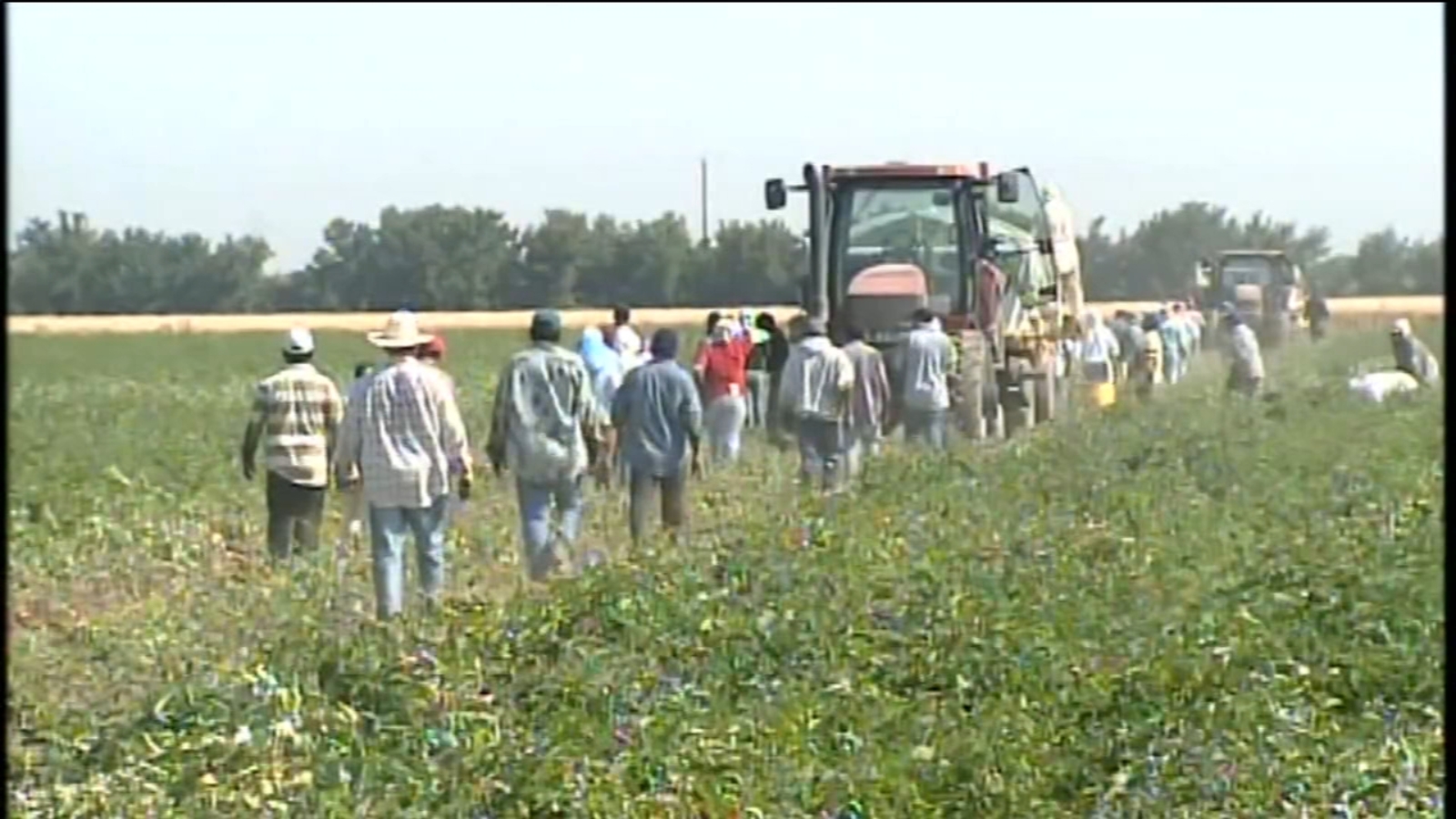 Central Valley Farm Workers Practice Social Distancing As They Continue Work In Fields Abc7 San Francisco