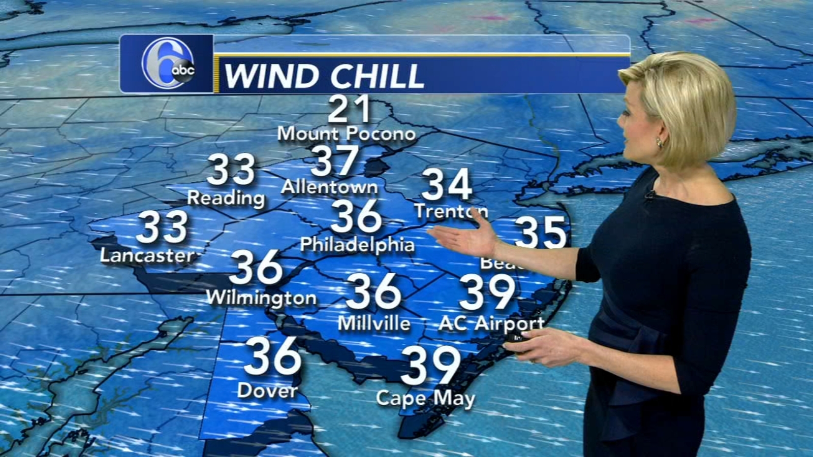 Meteorologist Cecily Tynan with AccuWeather Action News at 11 6abc